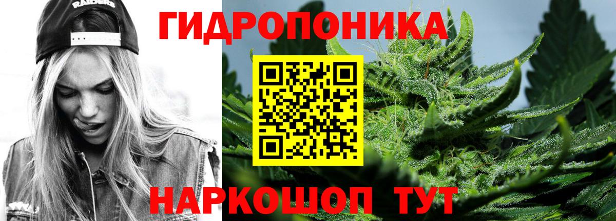 Канабис планчик Александров